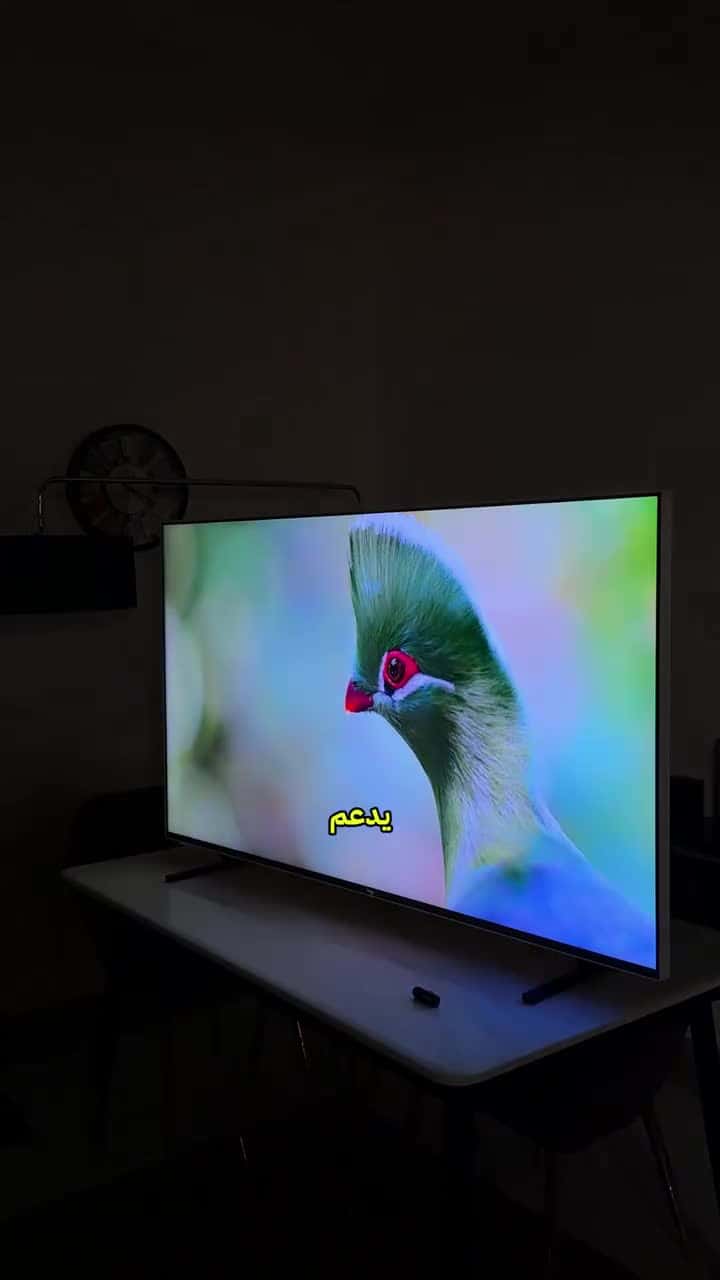 شاشة تلفزيون 65 بوصة 4k سمارت نحيفة سكاي وورث قابلة للتثبيت على الحائط Skyworth 4K UHD QLED+ Smart Frame TV