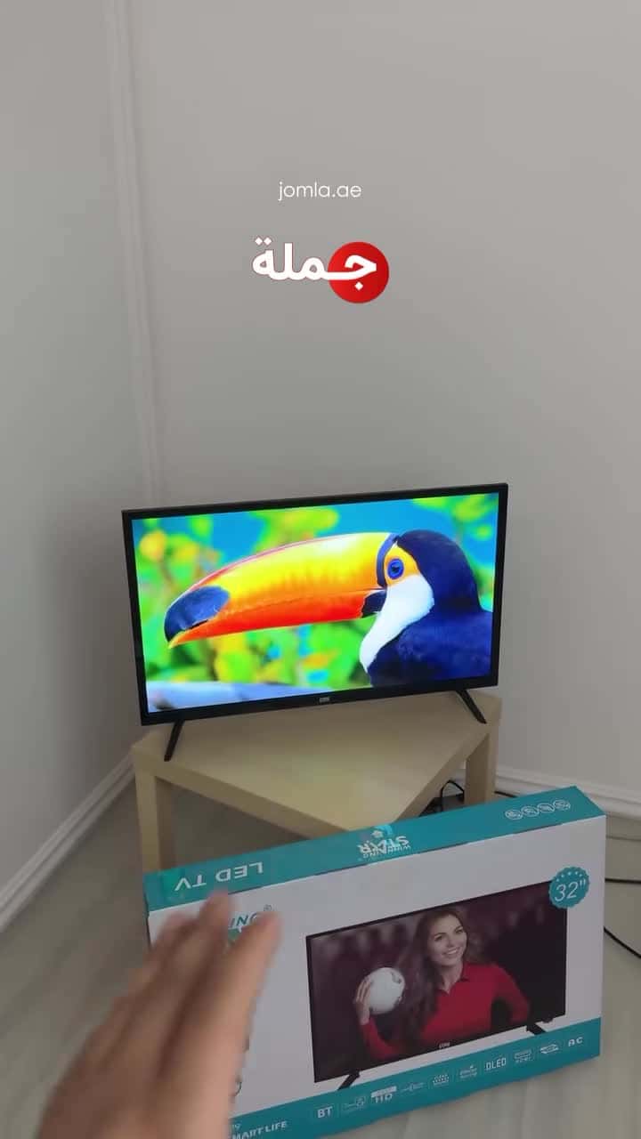 Winning Star Flat Screen Television Smart TV 32 inch