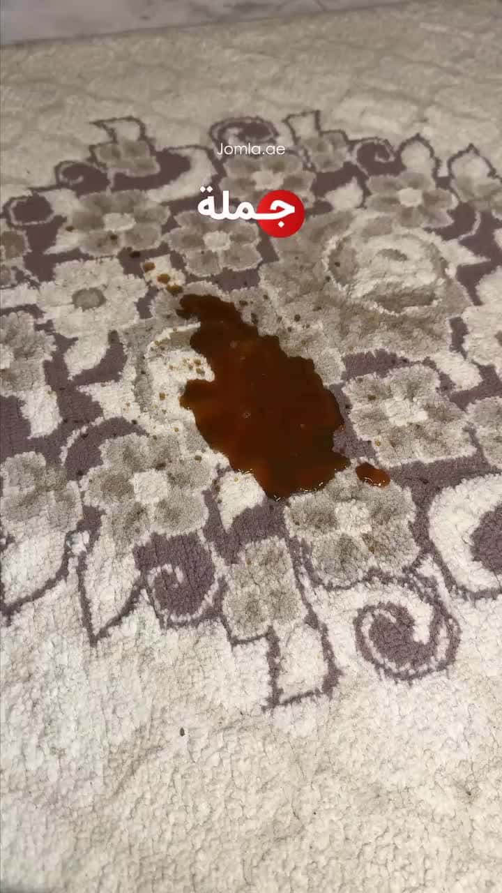 مكنسة غسيل السجاد والكنب جاف ورطب وينينج ستار 500 واط Winning Star Dry And Wet Spot Vacuum Cleaner Machine (مستعمل) (Used)