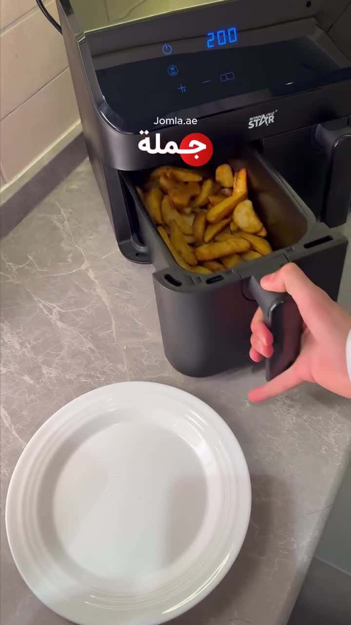 Winning Star 2000W 4.5+4.5L Dual Zone 2-Basket Air Fryer