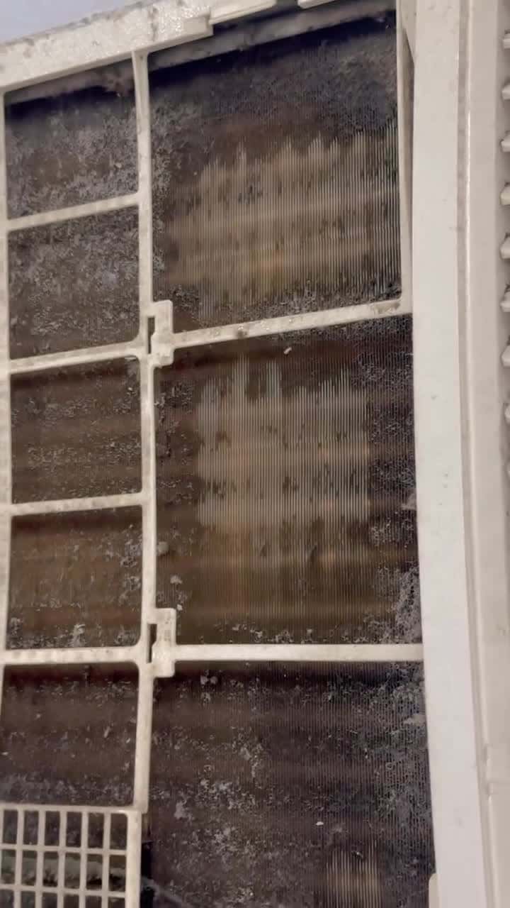 مكنسة بخار كهربائية وينينج ستار جاف ورطب للسجاد والكنب 1300 واط Winning Star Portable Steam Wet and Dry Vacuum Cleaner