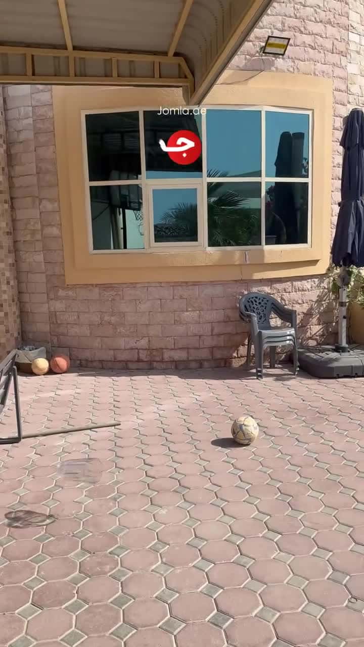 خلاط كهربائي ومطحنة بهارات وينينج ستار 2 لتر 350 واط Winning Star Stainless Blender