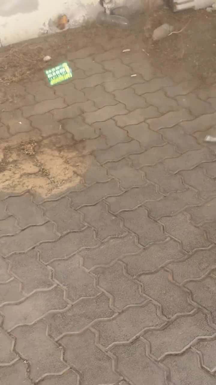 منفاخ هواء محمول مروحة تيربو قابل للشحن 600 واط 4000 مللي أمبير مع اضاءة مدمجة Portable High Speed Turbofan Blower