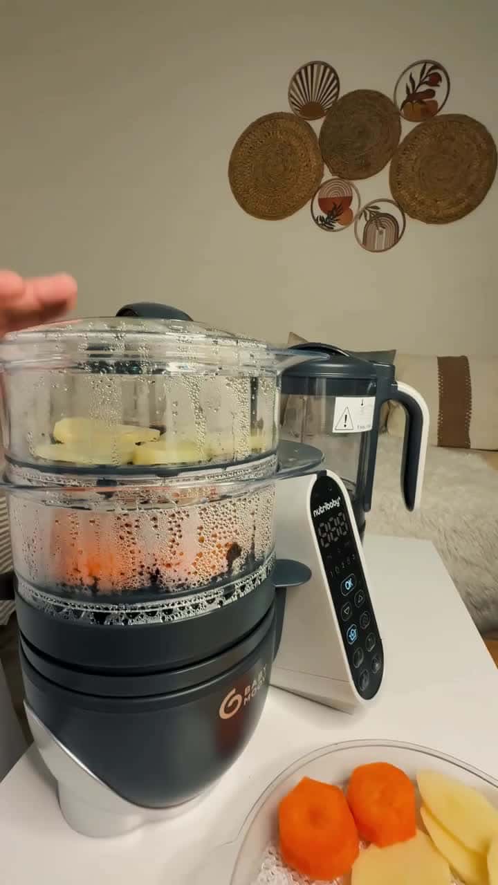 Babymoov Nutribaby (+) Food Processor & Blender - Grey