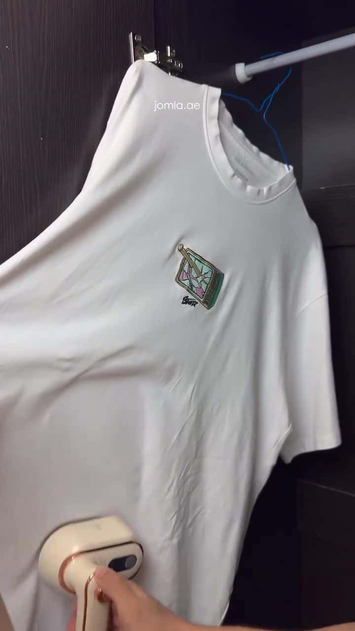 Winning Star 1000W PTC Heating Flat Press Travel Iron for Clothes