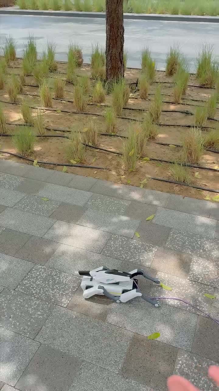 لعبة روبوت الكلب ذكي للاطفال مع ريموت تحكم عن بعد وتطبيق ذكي Robot Dog for Children Remote Controlled Toy