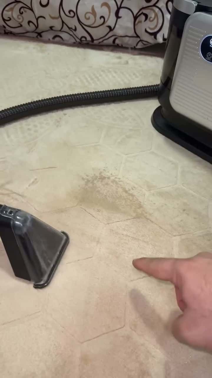 مكنسة غسيل السجاد بالبخار 4 في 1 بقوة 1650 واط دي سي بي بروفيشنال DSP 4‑in‑1 Steam Spot Cleaner 1650W