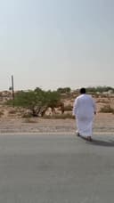 شاشة متنقلة اندرويد لمس ذكية تكتك مع ستاند مدمج 21.5 بوصة Taktik Floor Standing Smart Screen