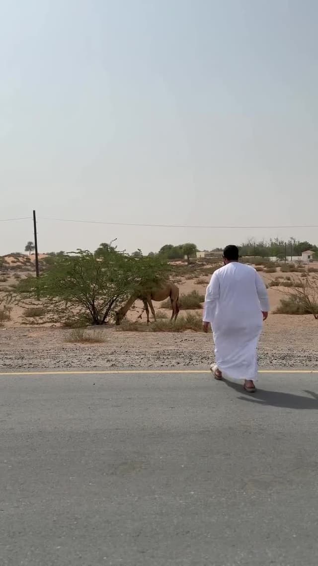 شاشة متنقلة اندرويد لمس ذكية تكتك مع ستاند مدمج 21.5 بوصة Taktik Floor Standing Smart Screen