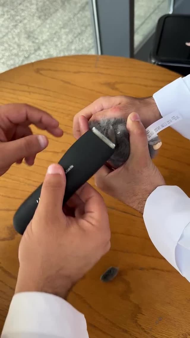 ماكينة حلاقة للمناطق الحساسة للرجال