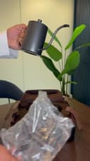 شنطة قهوة مختصة قهوة v60 Coffee Travel Set V60 Pour Over Coffee Maker