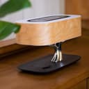 الشجرة المضيئة