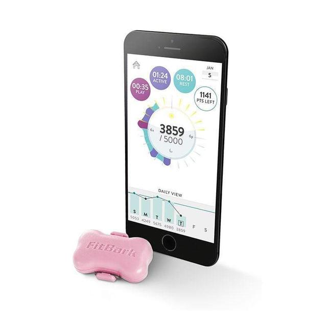 مونيتور لاسلكي لمراقبة نشاط الكلاب من فيتبارك FITBARK Wireless Dog Activity Monitor Romantic Snuggler - SW1hZ2U6MzU5NTI=