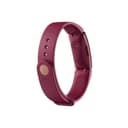سوار تتبع اللياقة البدنية و بلون الأحمر الداكن من فيتبيت إنسباير Fitbit Inspire Fitness Tracker Wristband Sangria Sangria