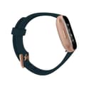 Fitbit Versa 2 Health And Fitness Smart Watch - Emerald Green Copper Rose