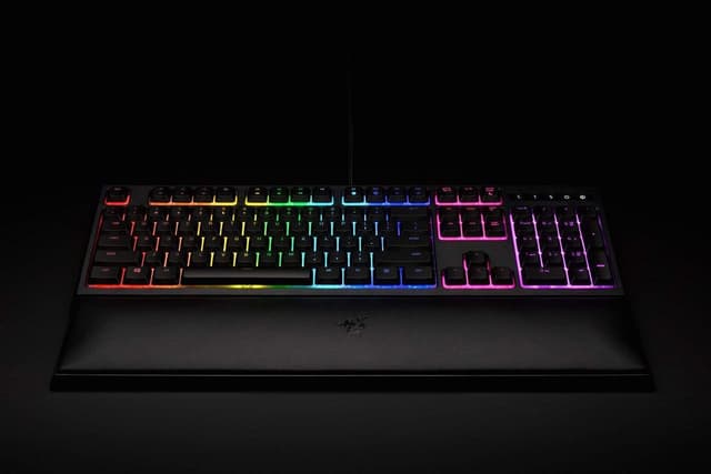 Generic razer ornata v2 ornata chroma