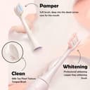 Xiaomi SOOCAS V2 Sonic Ultrasonic Electric Toothbrush