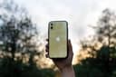 mous clarity case for iphone 11 6 1 clear