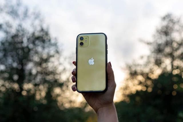 mous clarity case for iphone 11 6 1 clear