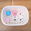 Geepas Baby Bottle Sterilizer 650W - 6Pcs Bottle Steam Sterilizer Capacity & Dryer with Knob, PP/BPA Free with Dry Protection, Drying time Control