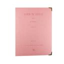 O Ozone 120 Pockets Mini Photo Album for Fujifilm Instax Mini 7s 8 8+ 9 25 26 50s 70 90 Instant Camera Film & Name Card - Beige - Pink