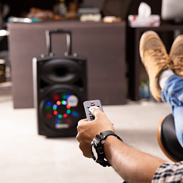 اطلب سماعات جيباس بلوتوث للحفلات 12 بوصة مع ميكروفون جيباس Geepas