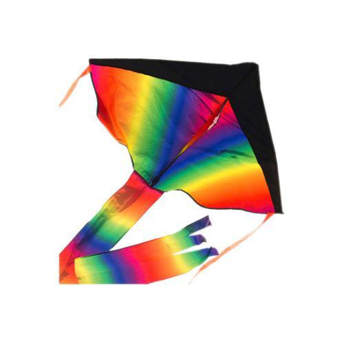 Impresa Products Rainbow Delta Kite for Kids, Multi Colour