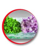 MOULINEX Electric Handheld Chopper 0.5 l AT711161 White