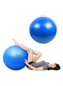 SkyLand Yoga Ball With Air Pump Blue/Yellow 75centimeter - SW1hZ2U6MjMzMTUw