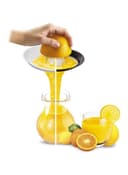 MOULINEX Citrus Juicer 25W White/Silver/Black