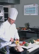 مصباح صاعق الحشرات 24 إنش Hitachi Fluorescent Bug Zapper