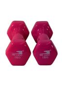 SkyLand Hexagon Shape Edge Deluxe Dumbbell - 1Kg 2 x 1kg - SW1hZ2U6MjMyOTY3