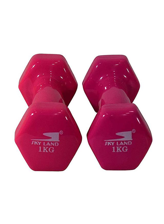 SkyLand Hexagon Shape Edge Deluxe Dumbbell - 1Kg 2 x 1kg - SW1hZ2U6MjMyOTY3