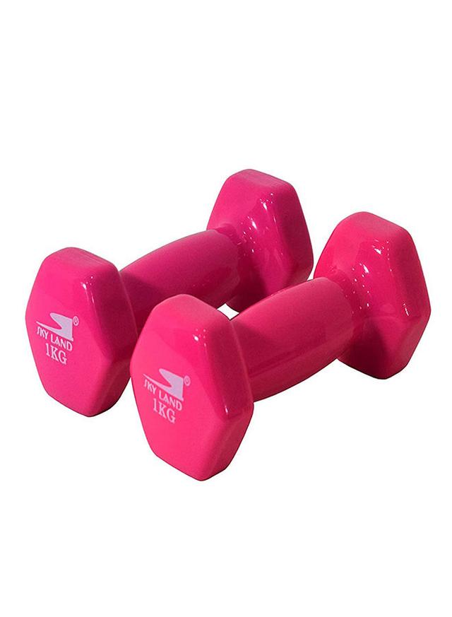 SkyLand Hexagon Shape Edge Deluxe Dumbbell - 1Kg 2 x 1kg - SW1hZ2U6MjMyOTc1