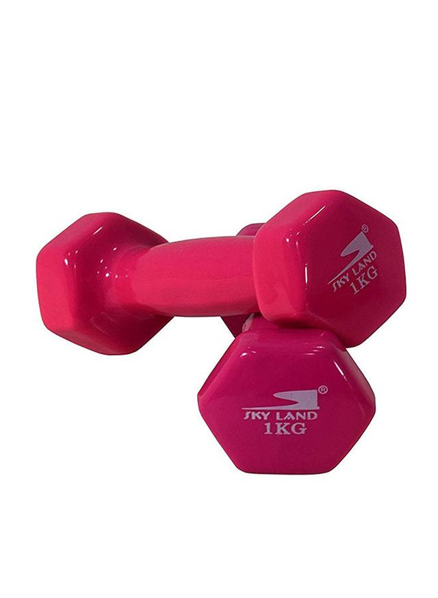 SkyLand Hexagon Shape Edge Deluxe Dumbbell - 1Kg 2 x 1kg - SW1hZ2U6MjMyOTc3