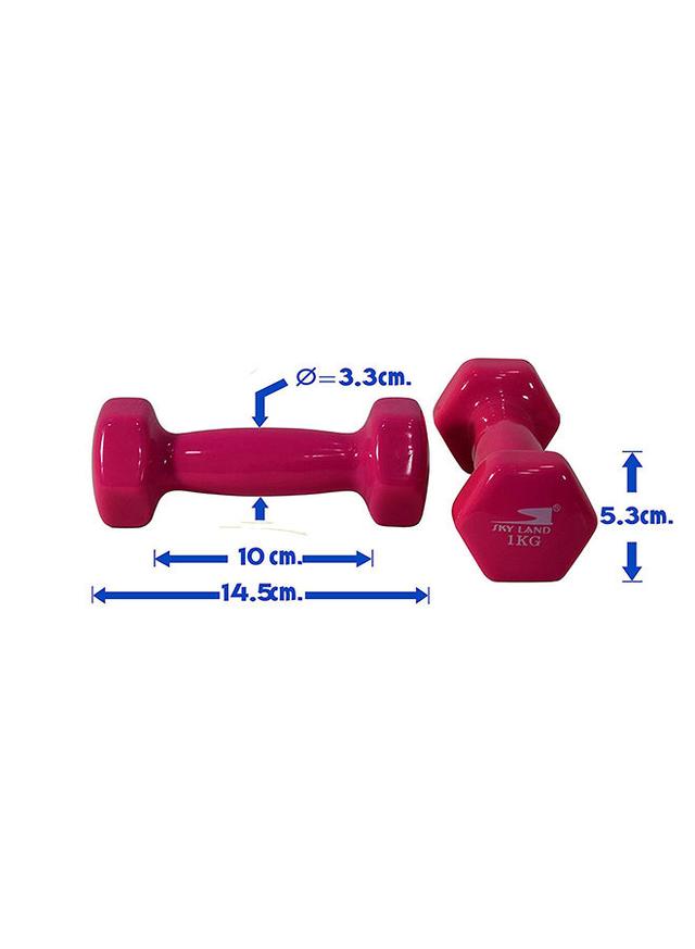 SkyLand Hexagon Shape Edge Deluxe Dumbbell - 1Kg 2 x 1kg - SW1hZ2U6MjMyOTc5