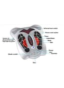 SkyLand Magnetic Wave Function Foot Massager