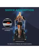 SkyLand 3HP DC Motor Treadmill with massager and built-in Bluetooth speaker