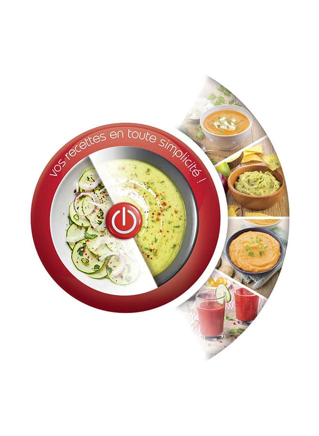 خلاط يدوي بقدرة 450 وات | Easychef Hand Blender - مولينكس