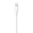 Apple Lightning to USB Cable 1M