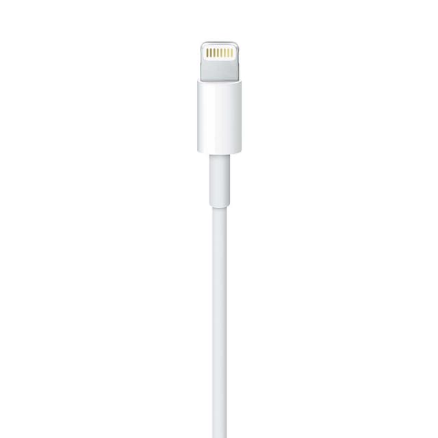 Apple Lightning to USB Cable 1M