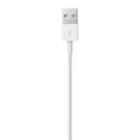 Apple Lightning to USB Cable 1M