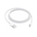 Apple Lightning to USB Cable 1M