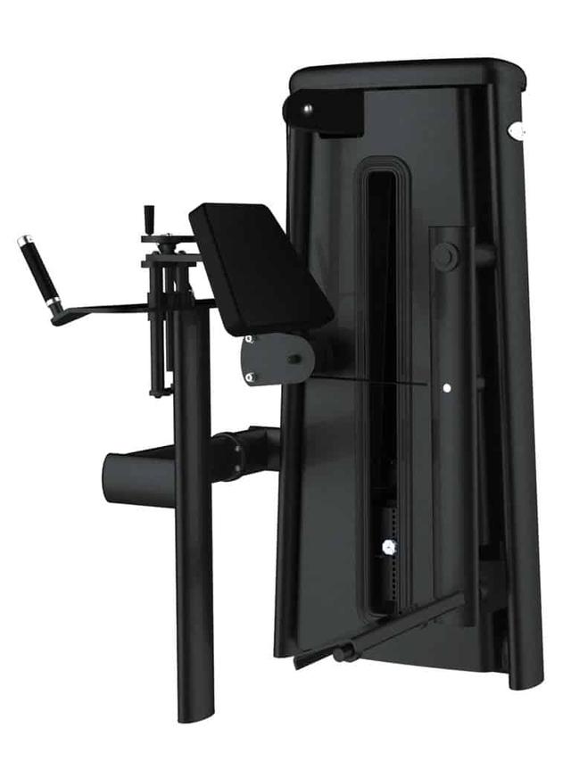 Gym80 Glutaeus Radial Machine - SW1hZ2U6MzIyMzI1