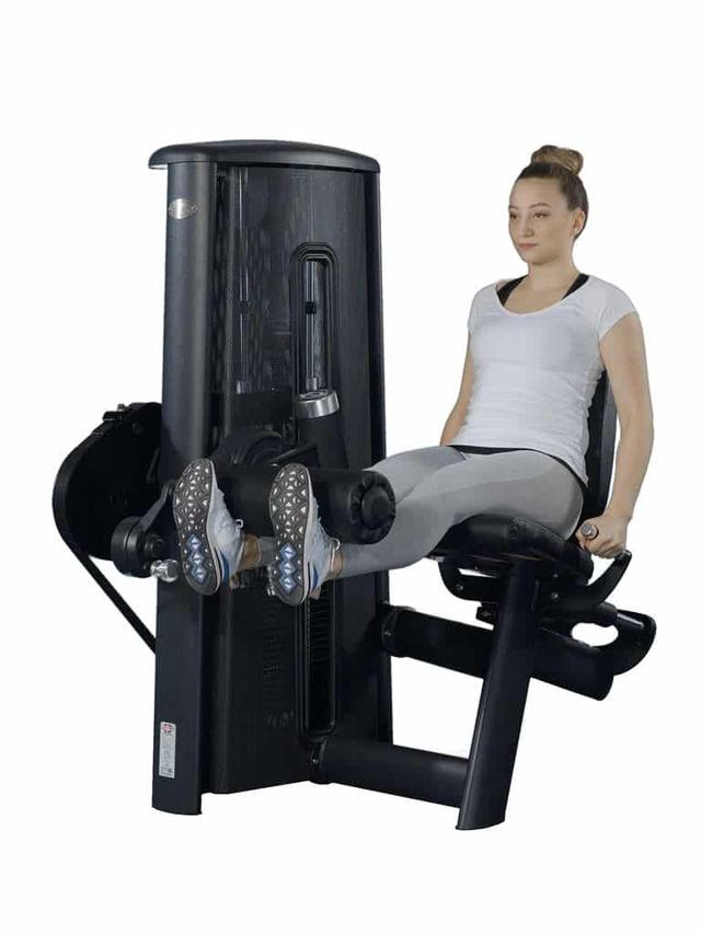 آلة تمديد عضلة الساق  Leg Extension Machine - EVERLAST - SW1hZ2U6MzIxODI3