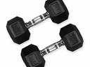 دامبل بوزن 40 كغ Rubber Coated Fixed Hex Dumbbell - Harley Fitness - SW1hZ2U6MzIwOTQ3