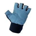 قفازات رياضية Gym Gloves - Harley Fitness - SW1hZ2U6MzIyMjMz