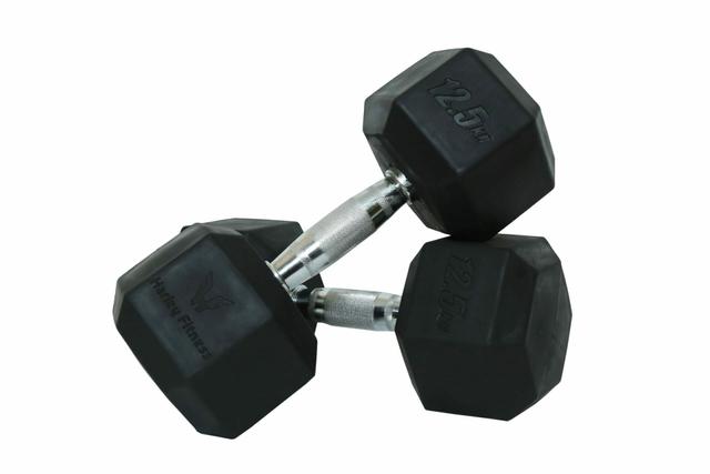 دامبل 12.5×2 كغ Dumbbells - Harley Fitness - SW1hZ2U6MzIyNjEz