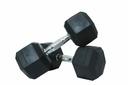 دامبل 15×2 كغ Dumbbells - Harley Fitness - SW1hZ2U6MzIyNTk1