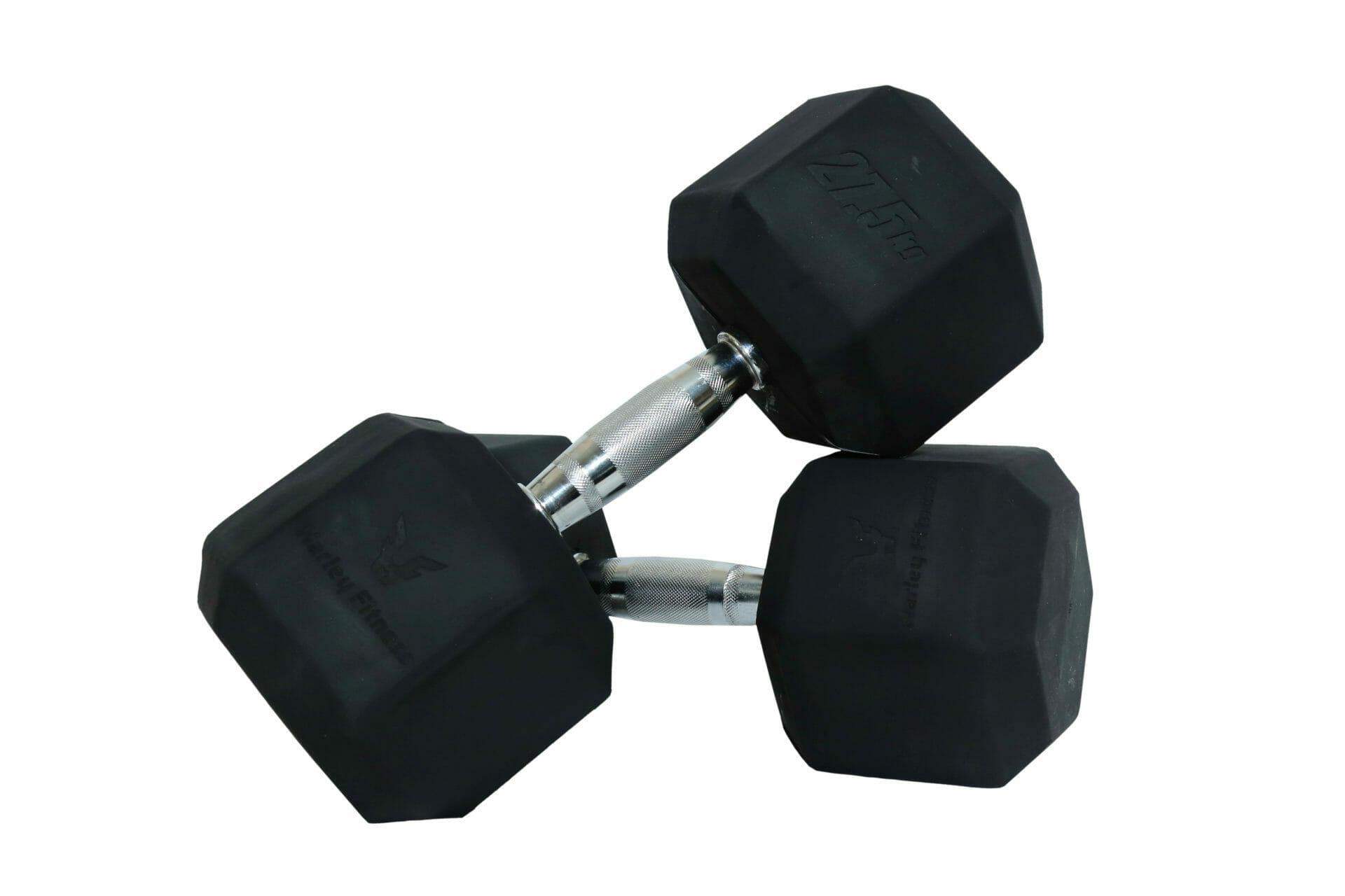 دامبل 27.5×2 كغ Dumbbells - Harley Fitness